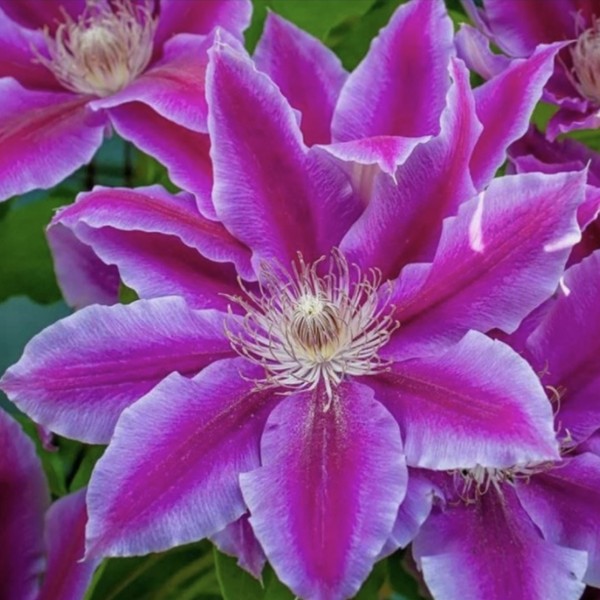 ImEJT4ectMgPBEwzsfy5tYAnPb0sr76X25jKHq0MeI_YLfdwtwsZc4vnCT6x6j2TmT-XA9I0lMTj_UU1dvmtpdnB