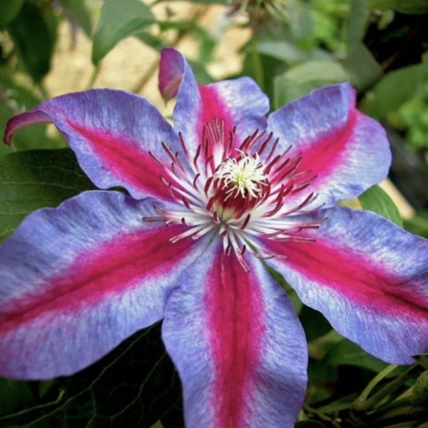 INizQHN1wbfUrpsRr8eKa91b9n0d5B1F2fSJV7nxYI9pW6TOnjrASYbidGX2aI3cP2udjc0x4SUpaSoUJA0GdAR6